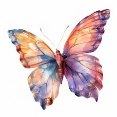 watercolor pretty butterfly flying, pastel, isolated on white background for clipart. ai generated