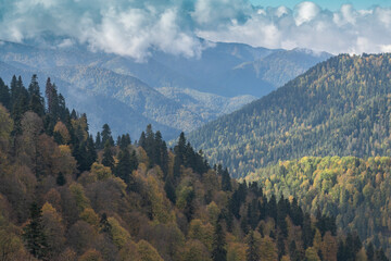 black sea mountains green and orange trees sky clouds