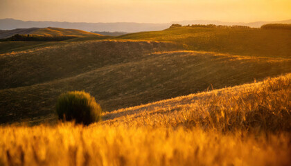 A Tuscan sunset bathes the landscape in gold - 758925205