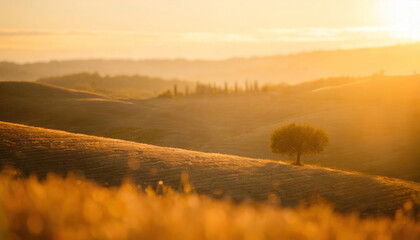 Naklejka premium A Tuscan sunset bathes the landscape in gold