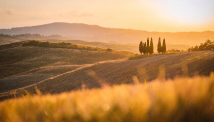 A Tuscan sunset bathes the landscape in gold - 758925271