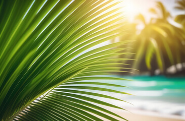 Blur beautiful nature green palm leaf on tropical beach with bokeh sun light wave abstract...