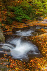 The idea of being in nature and the waterfall flowing through the trees decorated with autumn colors the rocks calmness peace and happiness