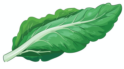 Chinese cabbage leaves icon. Green vitamin vegetable - obrazy, fototapety, plakaty