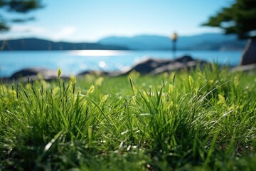 A peaceful scene of a grass field next to a serene body of water. Ideal for nature or landscape concepts