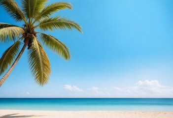 Fototapeta na wymiar Palm tree leaves overhanging a sandy beach with clear blue sky and sun shining through the foliage, ocean in the background