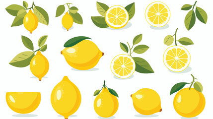 Fresh lemon fruits collection of vector illustration