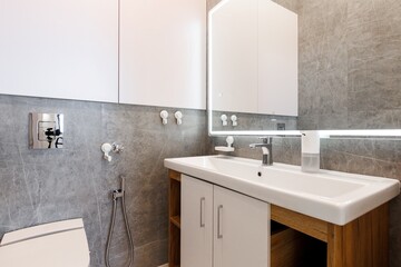 modern bathroom room with toilet and washing machine