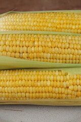 corn, food, pop corn, vegetable, 