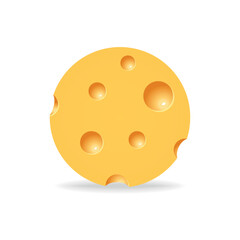 Round cheese icon with shadow. Circle shape on white background. Cheese texture in realistic style vector illustration.