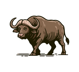 Cape Buffalo hand drawn vector illustration