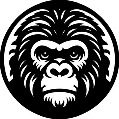 Ape 