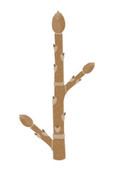 Winter twig on a white background.