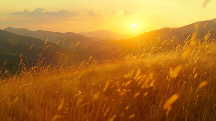 sunrise in the wheat field  - obrazy, fototapety, plakaty