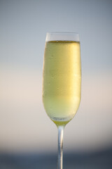 Glass of Champagne close up with evening sky background