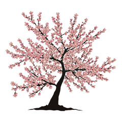 cherry blossom tree clipart  transparent background