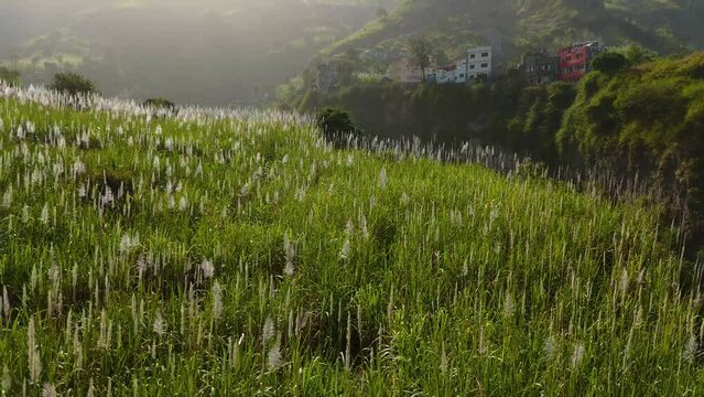 Aerial drone view of Vale do Paul valley, Faja de Cima on Santo Antao island, Cape Verde