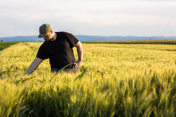 Young farmer in wheat fields