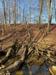 biesenthal, brandenburg