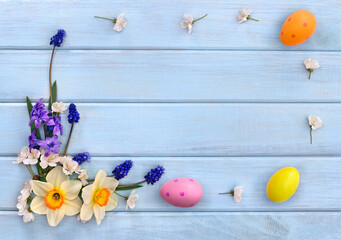 Narcissus, Easter colored eggs, hyacinths, blossom and flowers muscari on background of blue painted wooden planks with space for text. Top view. Flat lay. Easter decoration