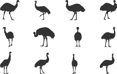 Emu silhouettes, Emu bird silhouette, Emu bird svg, Emu svg, Simple emu silhouette, Emu vector illustration