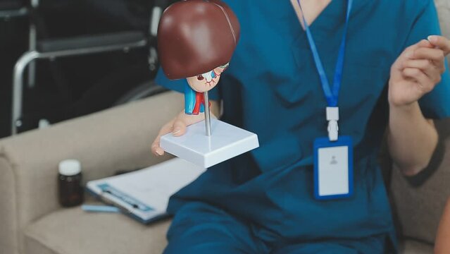 Doctor with human Pancreatitis anatomy model with Pancreas, Gallbladder, Bile Duct, Duodenum, Small intestine. Pancreatic cancer, Acute and Chronic pancreatitis, Digestive system and Health concept