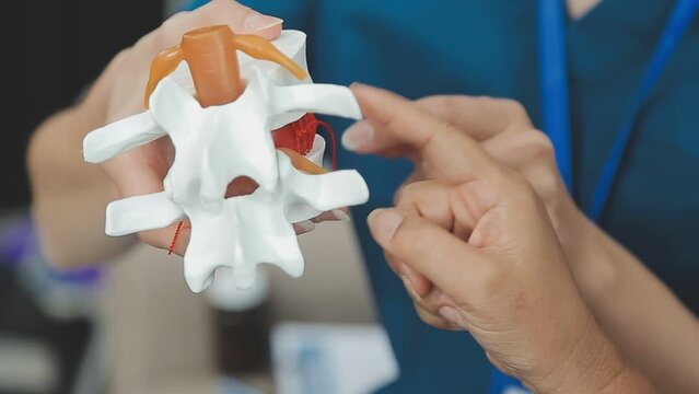 Doctor with human Pancreatitis anatomy model with Pancreas, Gallbladder, Bile Duct, Duodenum, Small intestine. Pancreatic cancer, Acute and Chronic pancreatitis, Digestive system and Health concept