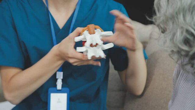 Doctor with human Pancreatitis anatomy model with Pancreas, Gallbladder, Bile Duct, Duodenum, Small intestine. Pancreatic cancer, Acute and Chronic pancreatitis, Digestive system and Health concept