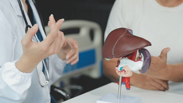 Doctor with human Pancreatitis anatomy model with Pancreas, Gallbladder, Bile Duct, Duodenum, Small intestine. Pancreatic cancer, Acute and Chronic pancreatitis, Digestive system and Health concept
