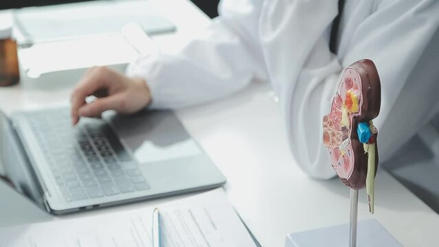Doctor with human Pancreatitis anatomy model with Pancreas, Gallbladder, Bile Duct, Duodenum, Small intestine. Pancreatic cancer, Acute and Chronic pancreatitis, Digestive system and Health concept