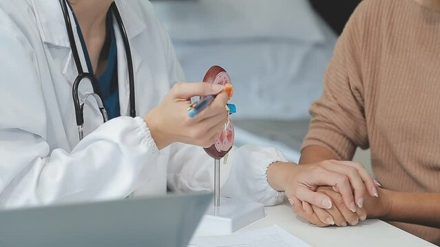 Doctor with human Pancreatitis anatomy model with Pancreas, Gallbladder, Bile Duct, Duodenum, Small intestine. Pancreatic cancer, Acute and Chronic pancreatitis, Digestive system and Health concept