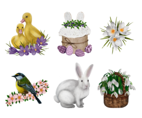 Watercolour painted easter elements on transparent background