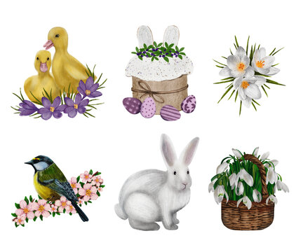 Watercolour painted easter elements on transparent background
