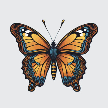 clipart beauty butterfly vector isolated