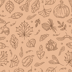 Hello, Autumn. Seamless pattern from nuts and seeds. Acorns with leaves, cedar cone, linden seeds, hazelnuts, maple lionfish seeds. doodle style. wallpaper, printing on fabric, wrapping, background