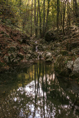 Canyon of a dried river with lots of rocks, foliage and trees during autumn, river Derventa, Uzice, Serbia