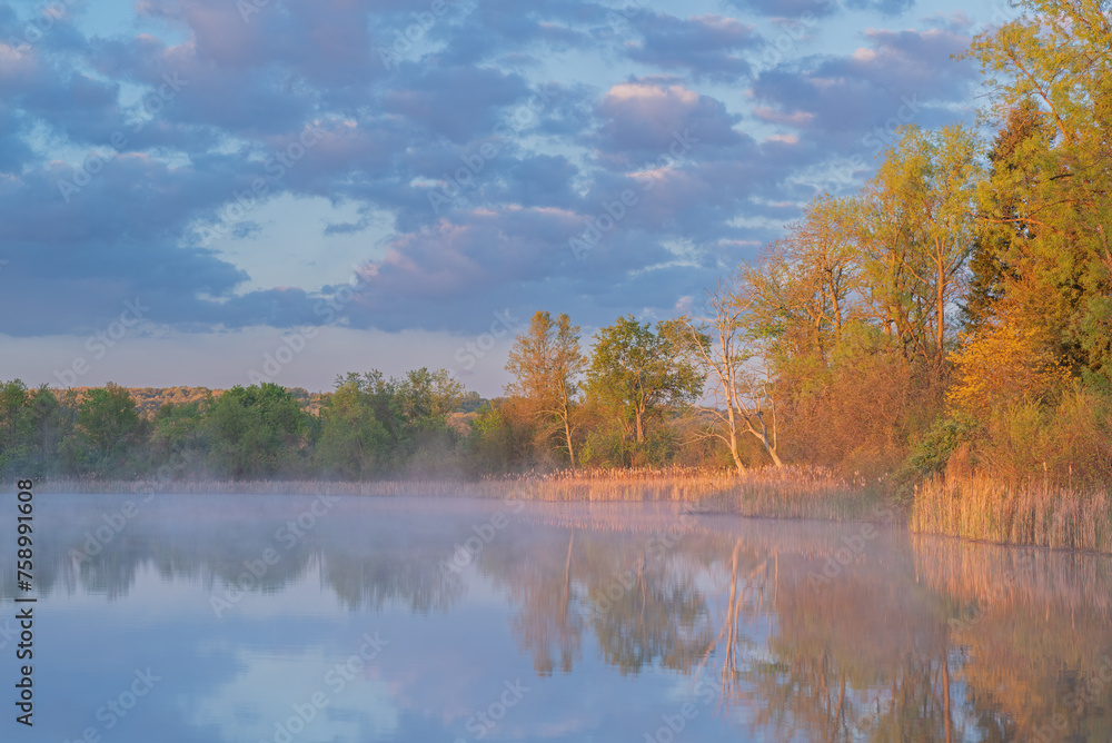 Wall mural foggy spring landscape at sunrise of the shoreline of whitford lake, fort custer state park, michiga