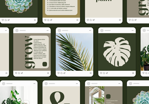 Set of Social Media Posts Layout