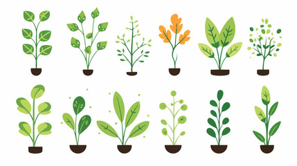 Sprout Plant in Flat Spring Collection  flat vector