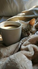 Sleepy morning coffee brewing