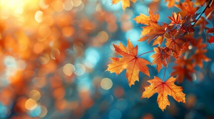 Naklejka na ściany i meble Close-Up of Tree Leaves in Autumn