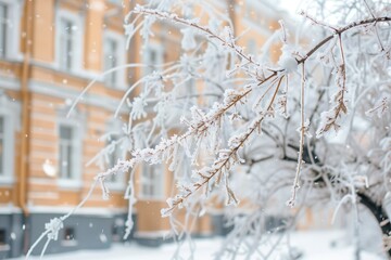 A snow covered tree branch in front of a building