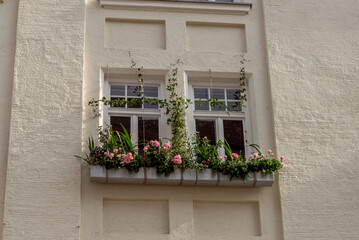 Fototapeta na wymiar Flower filled window boxes. Urban gardening landscaping design. decorative patterns for windows. a combination of plants for decorative planters. landscaping of facades.