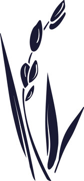 recommend clip art: Rice plant, grain silhouette for label, menu, package. Traditional food in asian countries