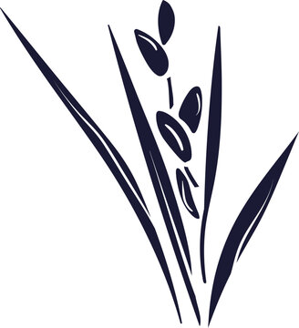 recommend clip art: Rice plant, grain silhouette for label, menu, package. Traditional food in asian countries