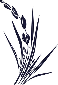 recommend clip art: Rice plant, grain silhouette for label, menu, package. Traditional food in asian countries