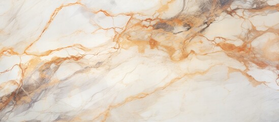 Marble Texture Background for Design