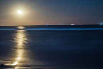 Fototapeta premium Moon over the sea - Europe, Romania, Constanta region, 2023 year