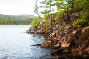 Miniature illusion on the shore of a lake in Algonquin Park, Ontario, Canada shot with a tilt-shift...
