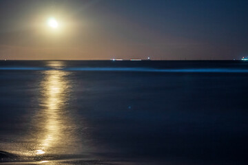Fototapeta premium Moon over the sea - Europe, Romania, Constanta region, 2023 year
